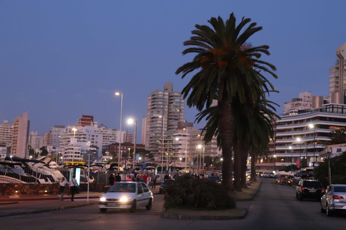 Eine Straße am Hafen in Punta del Este kurz nach Sonnenuntergang, im Hintergrund Hochhäuser, vorne eine Palme